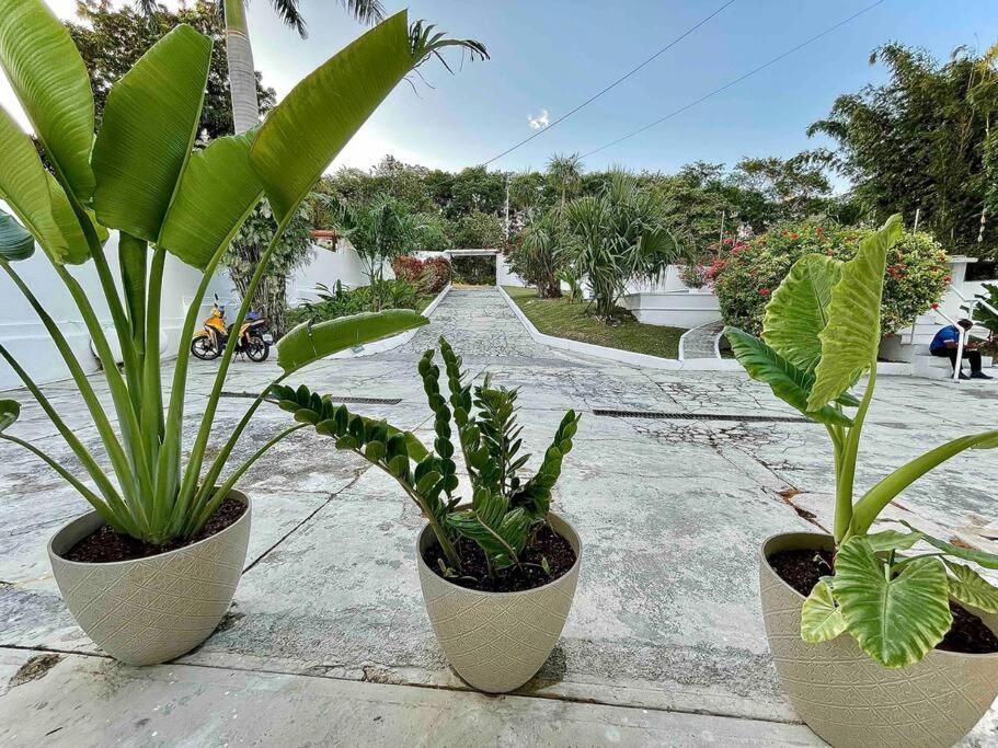 Casa Sol Y Luna -Beautiful Sunrises And Infinity Pool Bacalar Exterior photo
